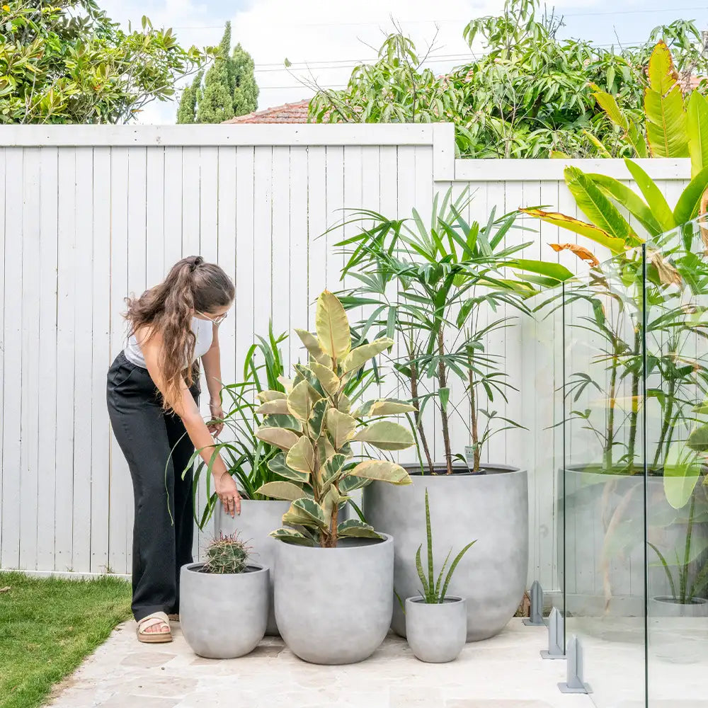 australian pot plant WHITSUNDAY Fibreglass Resin Garden Planter Pot – Australian Landscape Supplies