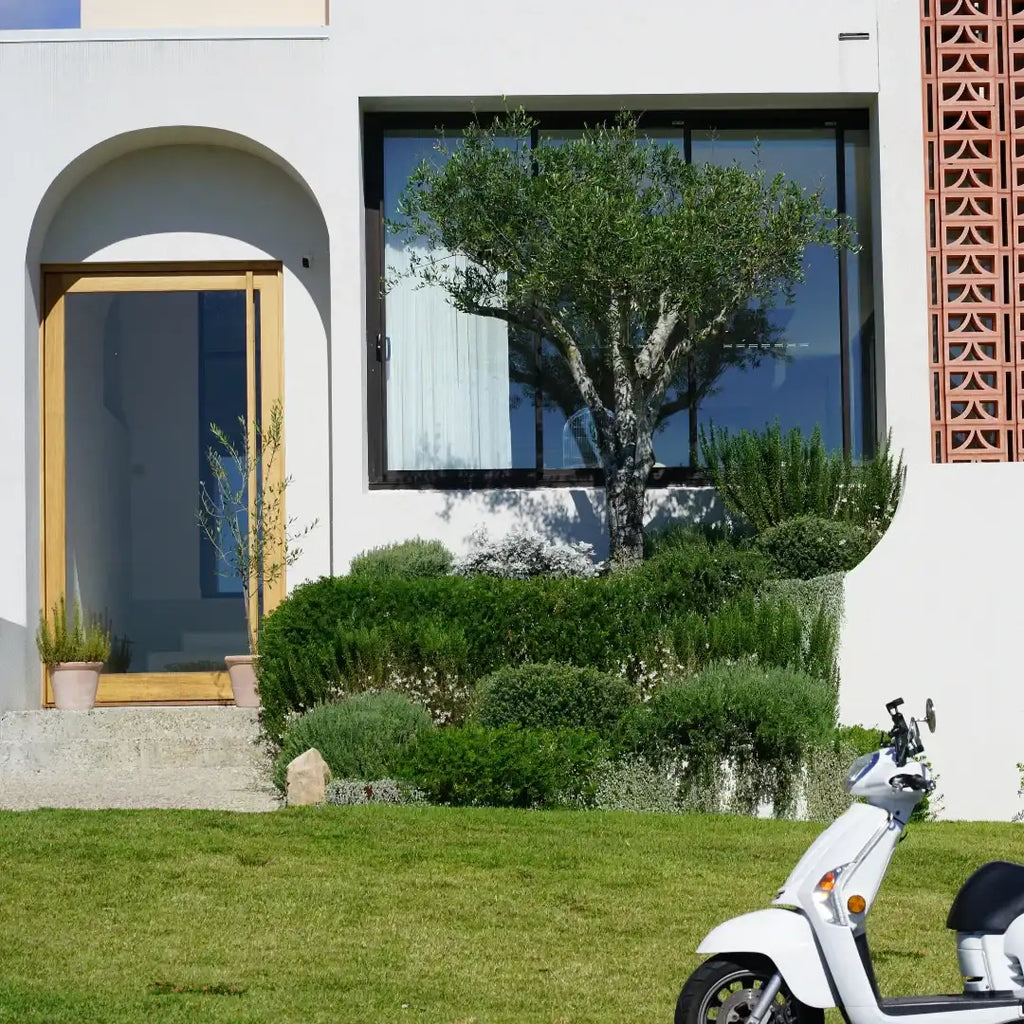 7 Front Yard Landscaping Ideas