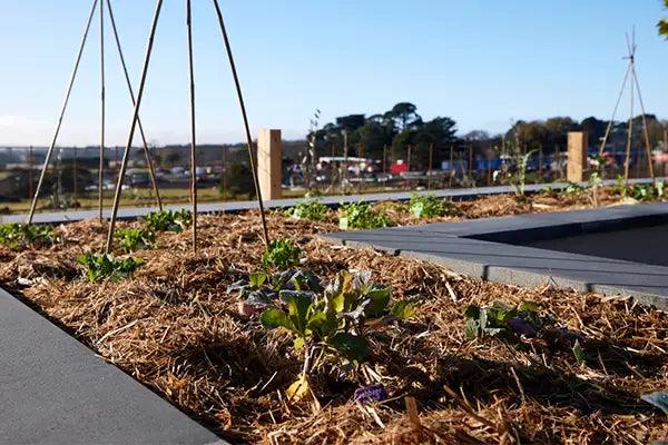 DIY Garden Beds made of Stone and Concrete