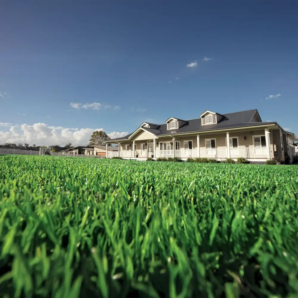 Spring Lawn Care