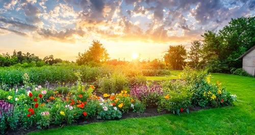 Earthlife Soil & Plant Fertilisers - Australian Landscape Supplies