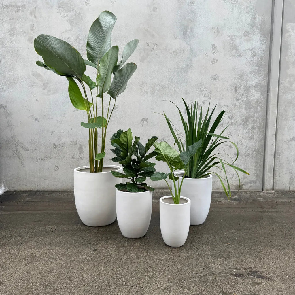 Pots