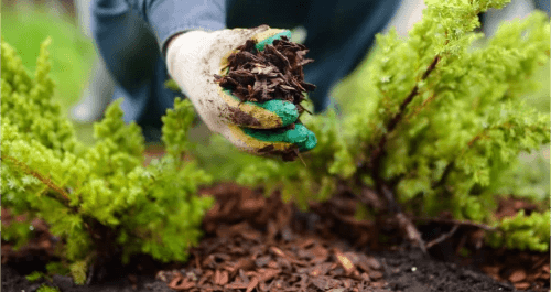 Bark and Mulch - Australian Landscape Supplies
