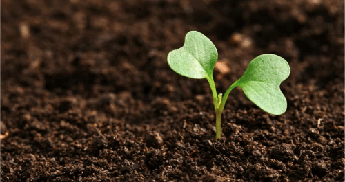Potting Mix & Garden Soil - Australian Landscape Supplies