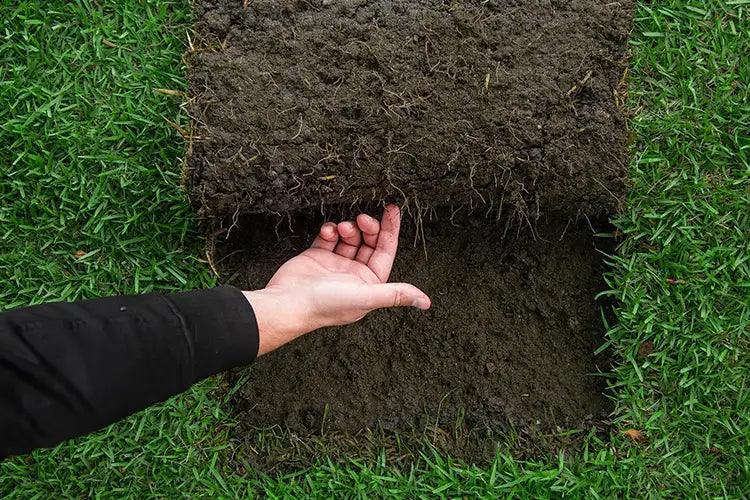 Turf & Lawn Prep - Australian Landscape Supplies