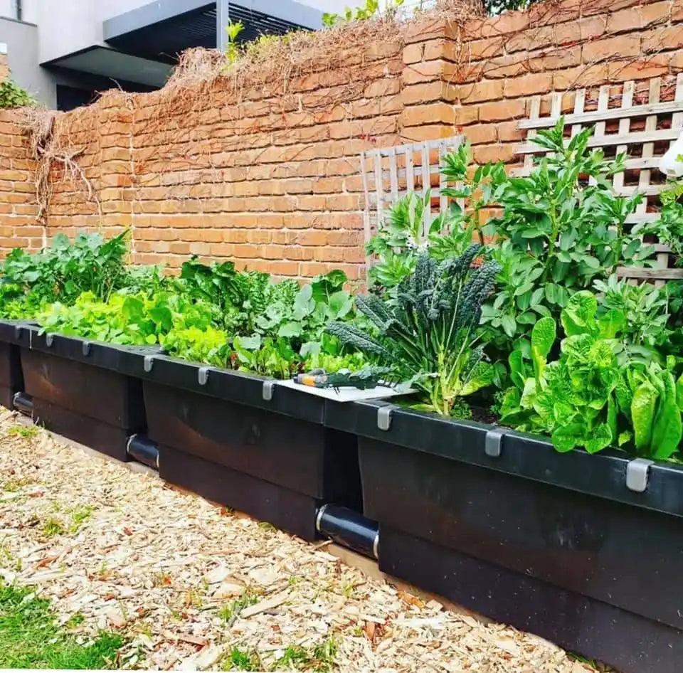 Foodcube Raised Garden Wicking Beds | Australian Landscape Supplies