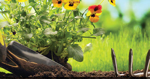 Ki-Carma Gardening Products shovel in hand in garden
