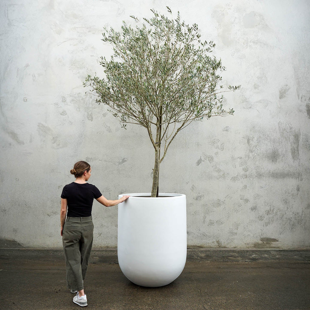 Pots & Planters - Australian Landscape Supplies
