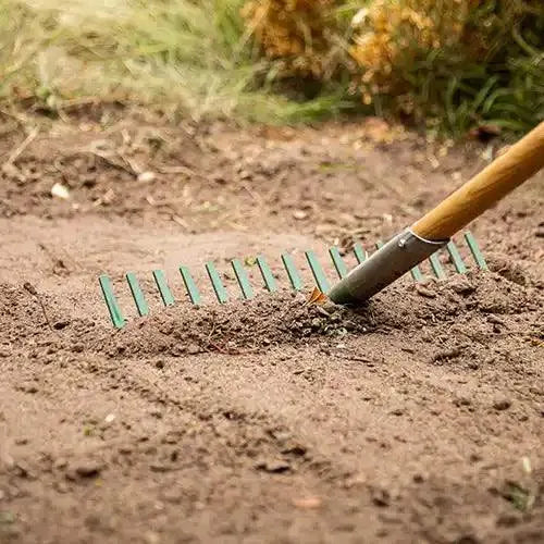 16 Tooth Timber Handle Rake | Cyclone - Australian Landscape Supplies