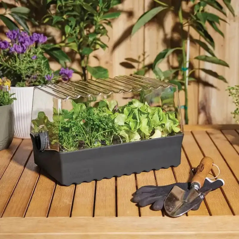 Flori Outdoor Backyard Seedling Propagation Kit - Backyard Farmer - Australian Landscape Supplies
