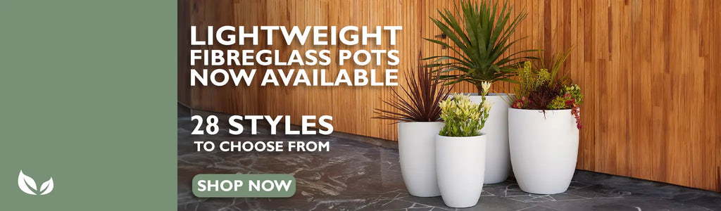 Lightweight Fibreglass Pots Now Available from Australian Landscape Supplies