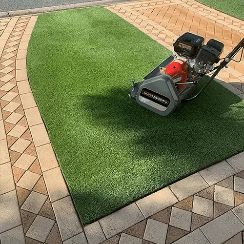 Augusta Zoysia Grass | Fine Leaf Turf - Australian Landscape Supplies