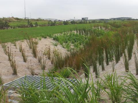 Geofabrics geotextile erosion control