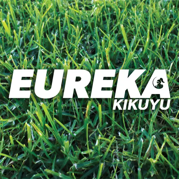 Eureka Kikuyu | Medium Leaf Turf /m2 Available from Australian Landscape Supplies
