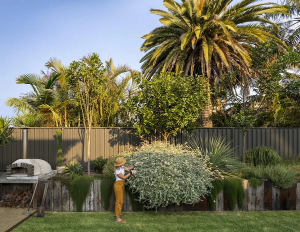 Brisbane Colorbond fence supplies