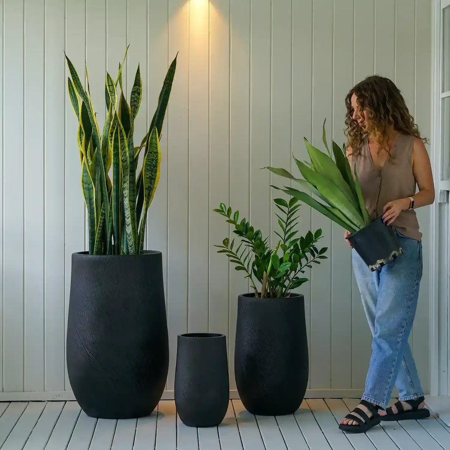 australian pot plant Helix U Pot - Green