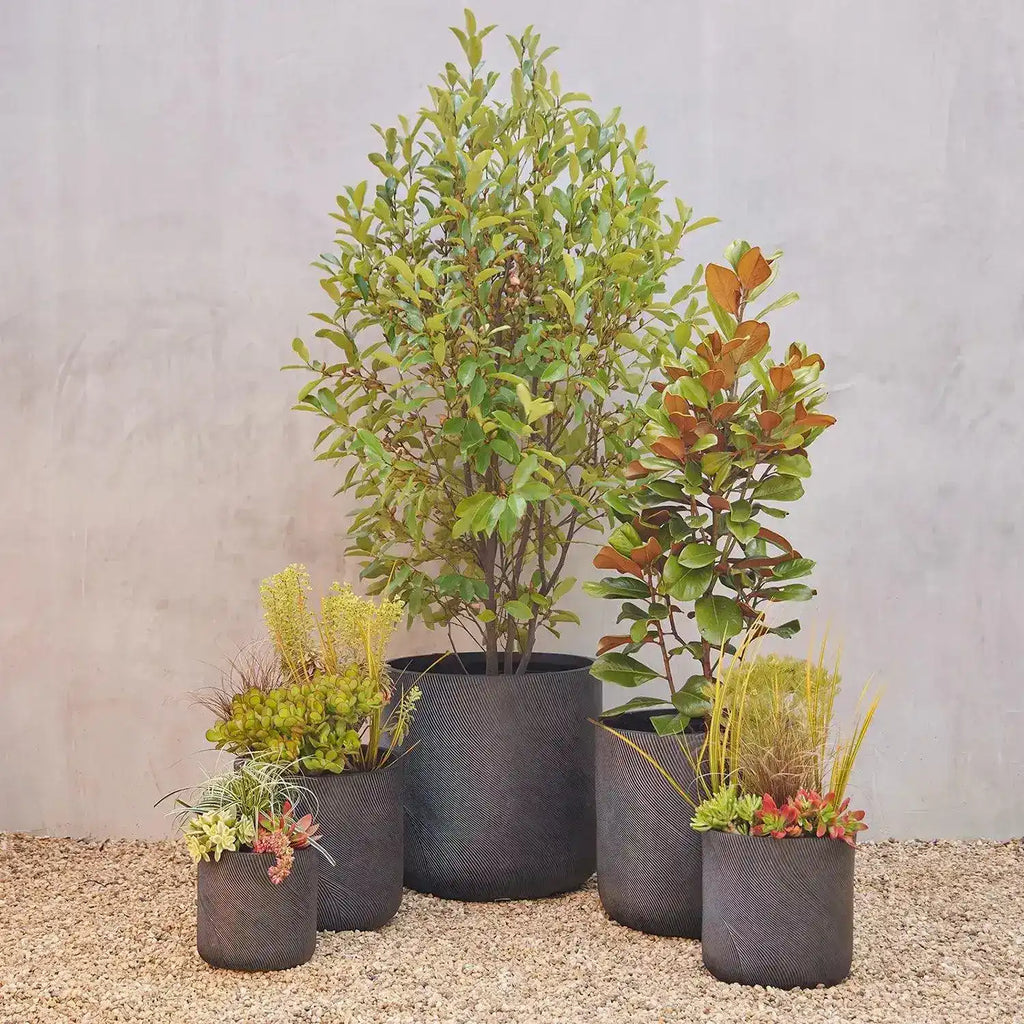 Helix Cylinder Pot - Australian Landscape Supplies