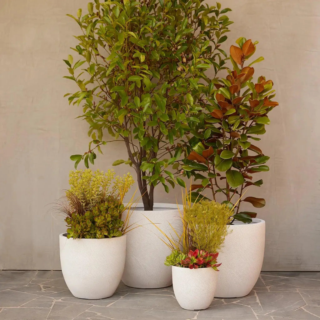 Helix Egg Pot - White - Australian Landscape Supplies
