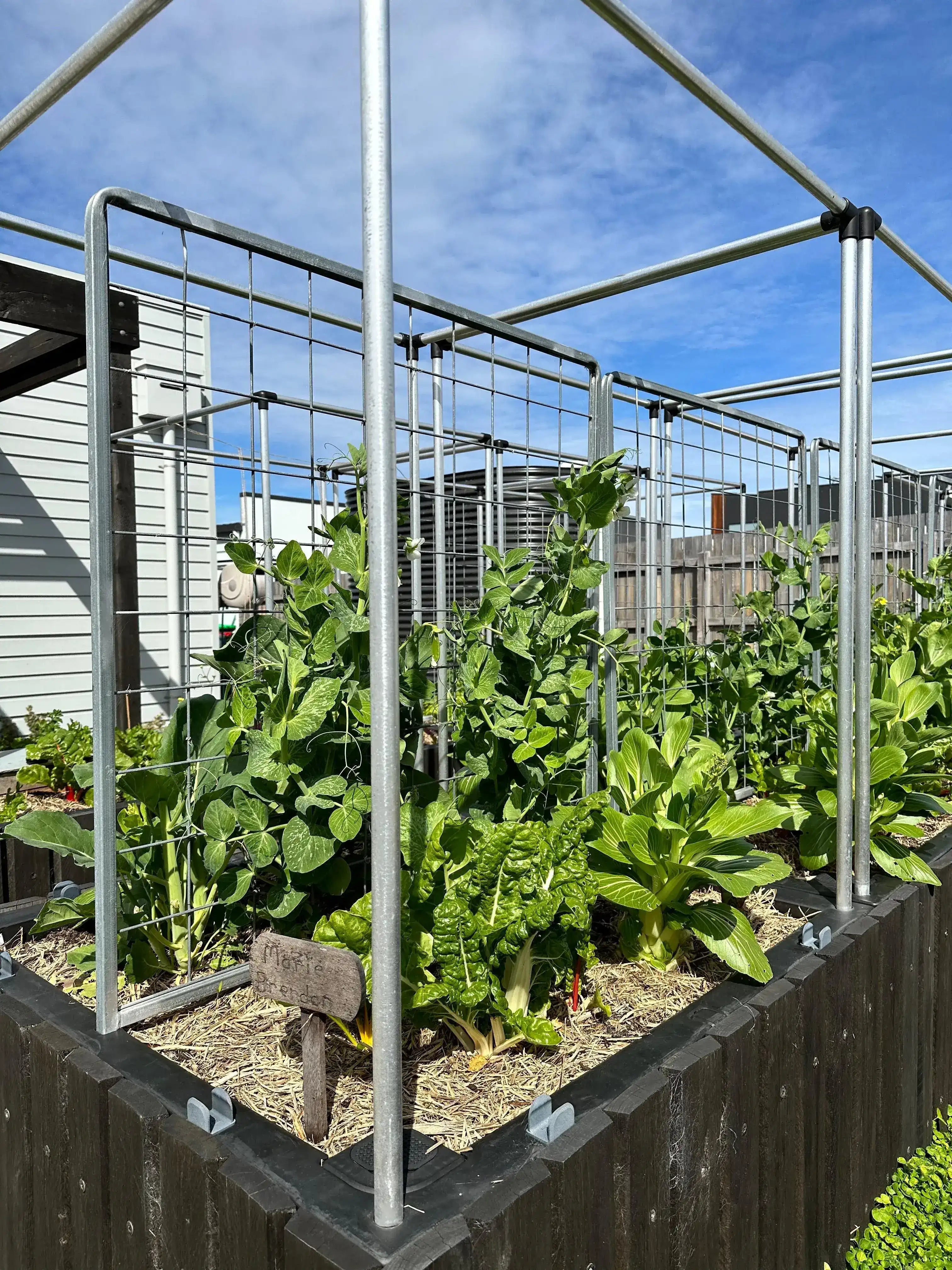 Net Frame Only - Foodcube | Australian Landscape Supplies