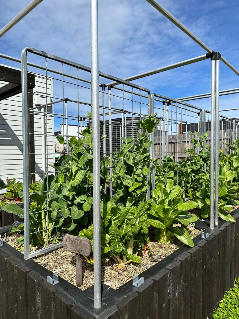 Net Frame Only - Foodcube - Australian Landscape Supplies