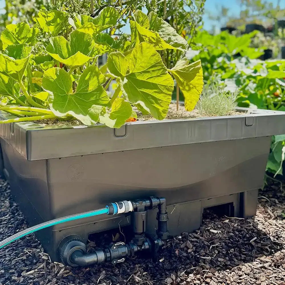 Foodcube Auto Watering System - Australian Landscape Supplies