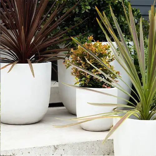 Lightweight Fibreglass Cement Lite U Pot - White Available in Australian Landscape Supplies