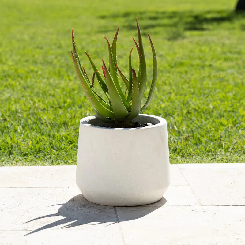 Cement Lite Modern Drum Pot - White - Australian Landscape Supplies