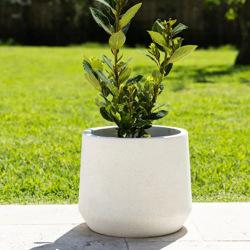 Cement Lite Modern Drum Pot - White - Australian Landscape Supplies