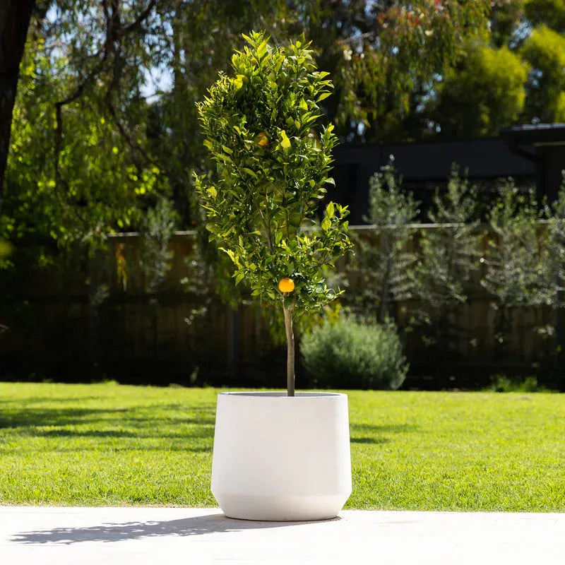 Cement Lite Modern Drum Pot - White - Australian Landscape Supplies