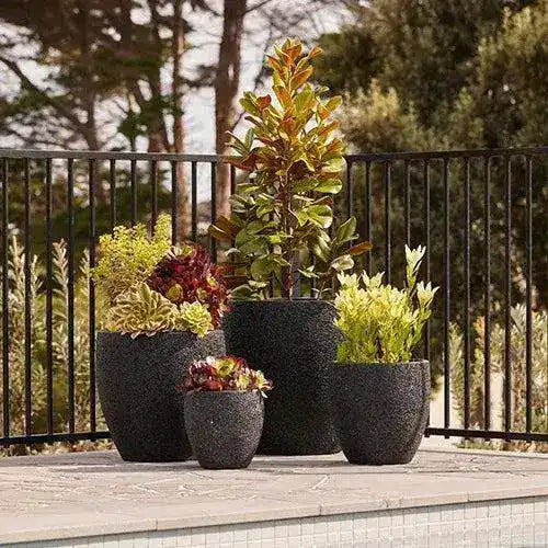 Montague Lightweight Fibreglass Egg Pot - Black Pebble - Australian Landscape Supplies