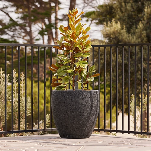 Lightweight Fibreglass Montague Egg Pot - Black Stone | Plant Pot for Landscape Nursery | Australian Landscape Supplies