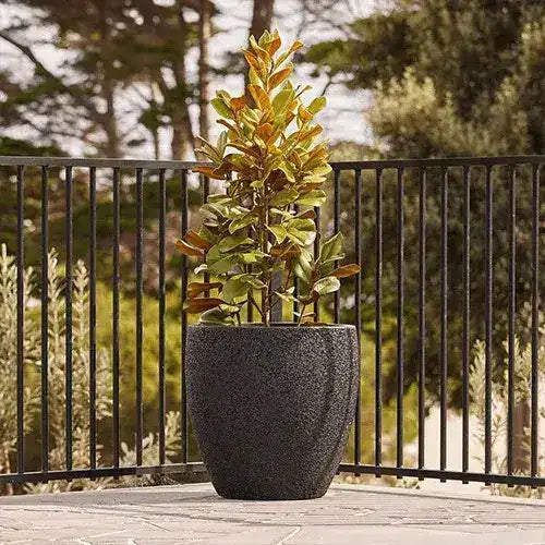 Montague Lightweight Fibreglass Egg Pot - Black Pebble - Australian Landscape Supplies