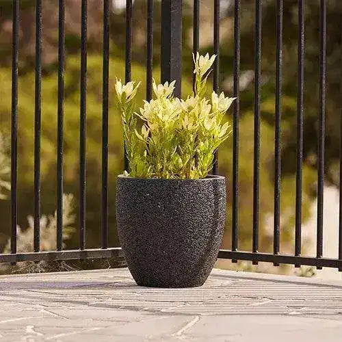 Montague Lightweight Fibreglass Egg Pot - Black Pebble - Australian Landscape Supplies
