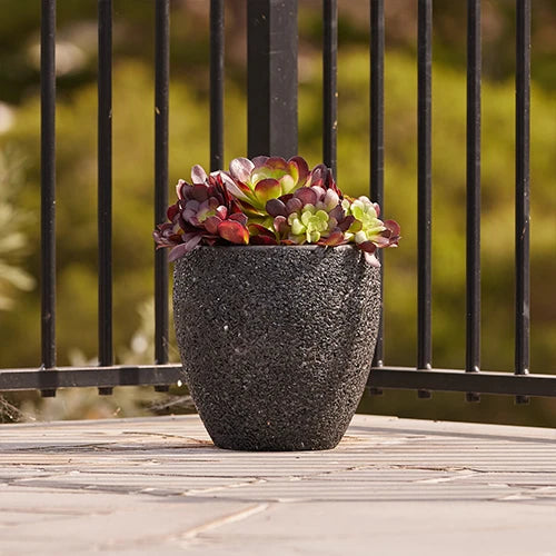 Lightweight Fibreglass Montague Egg Pot - Black Stone | Plant Pot for Landscape Nursery | Australian Landscape Supplies