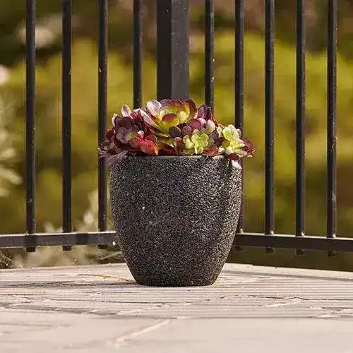 Montague Lightweight Fibreglass Egg Pot - Black Pebble - Australian Landscape Supplies