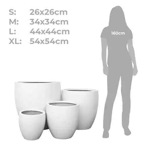 Lightweight Fibreglass Montague Egg Pot - White | Plant Pot for Landscape Nursery | Australian Landscape Supplies