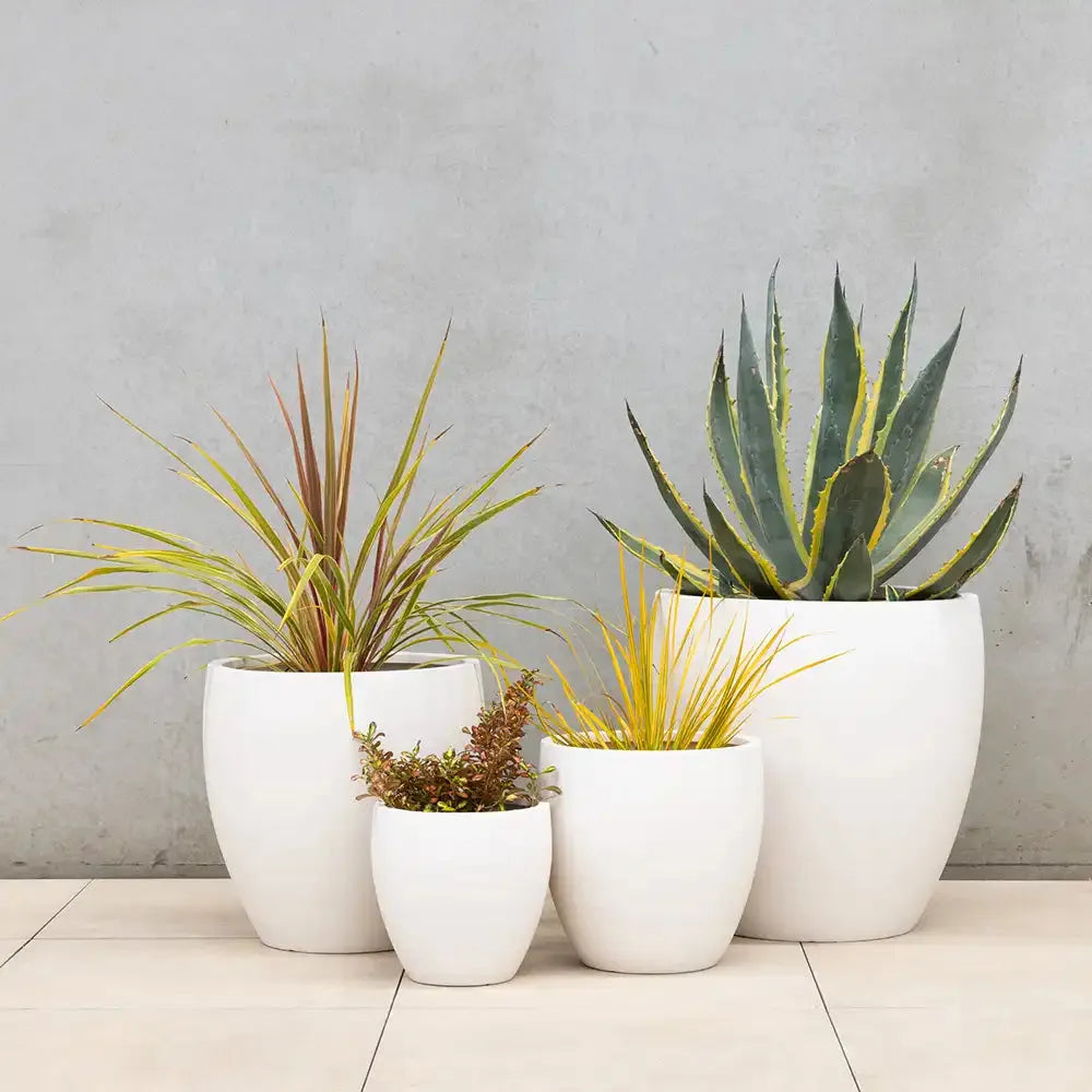 Montague Lightweight Fibreglass Egg Pot - White - Australian Landscape Supplies