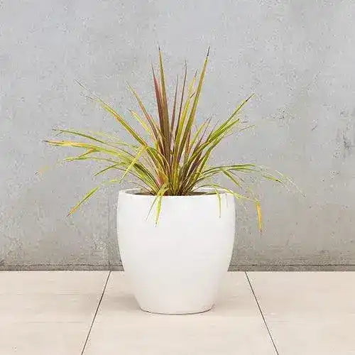 Montague Lightweight Fibreglass Egg Pot - White - Australian Landscape Supplies