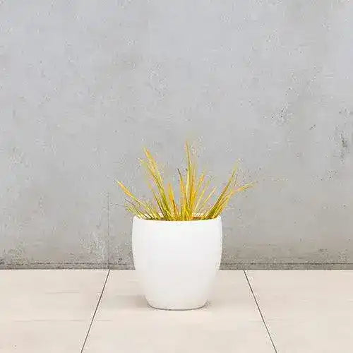 Montague Lightweight Fibreglass Egg Pot - White - Australian Landscape Supplies