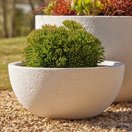 Lightweight Fibreglass Chambers Bowl Pot Small - White Available from Australian Landscape Supplies