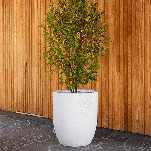 Chambers Lightweight Fibreglass U Pot - White Stone - Australian Landscape Supplies