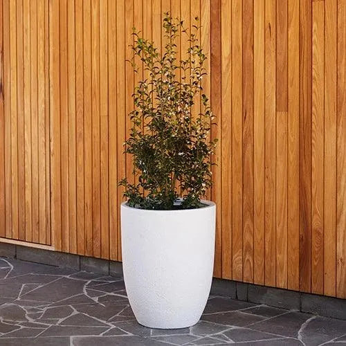 Chambers Lightweight Fibreglass U Pot - White Stone - Australian Landscape Supplies