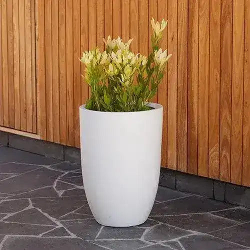 Chambers Lightweight Fibreglass U Pot - Plain White - Australian Landscape Supplies