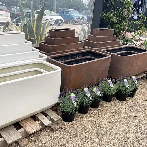 Lightweight Fibreglass Grayson Trough - Rust Available from Australian Landscape Supplies