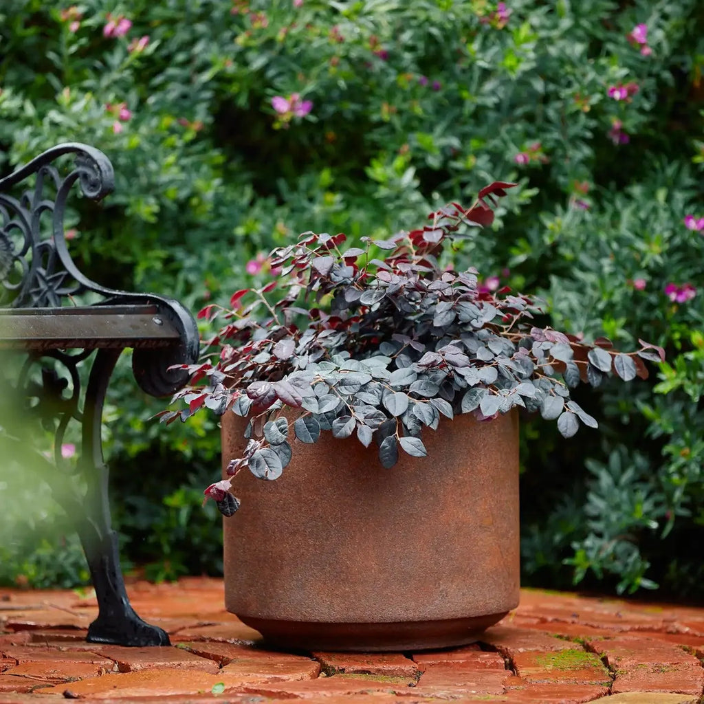 Fynn Lightweight Fibreglass Pot - Rust - Australian Landscape Supplies
