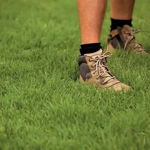 Nara Native Zoysia Grass | Native Turf - Australian Landscape Supplies