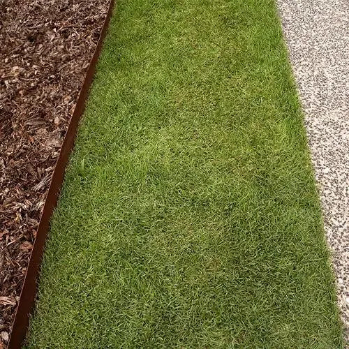 Nara Native Zoysia Grass | Native Turf - Australian Landscape Supplies