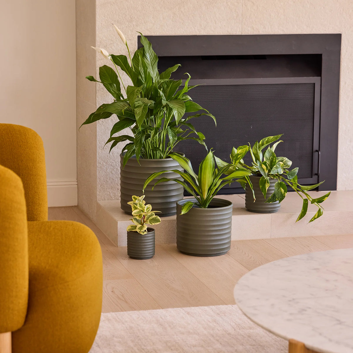 Ribbon Cylinder Fibreglass Indoor Planter Pot – Australian Landscape ...