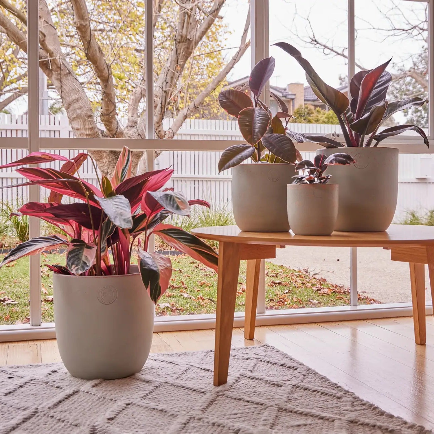 indoor plant pots au Boho Egg Fibreglass Indoor Planter Pot – Australian Landscape Supplies