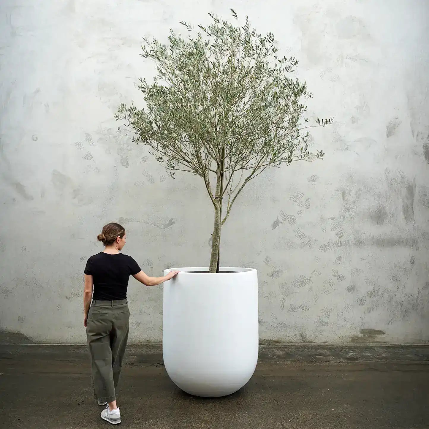designer plant pots australia Normandy Fibreglass Large Planter Pot – Australian Landscape Supplies